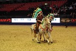 Quadrille - 00249